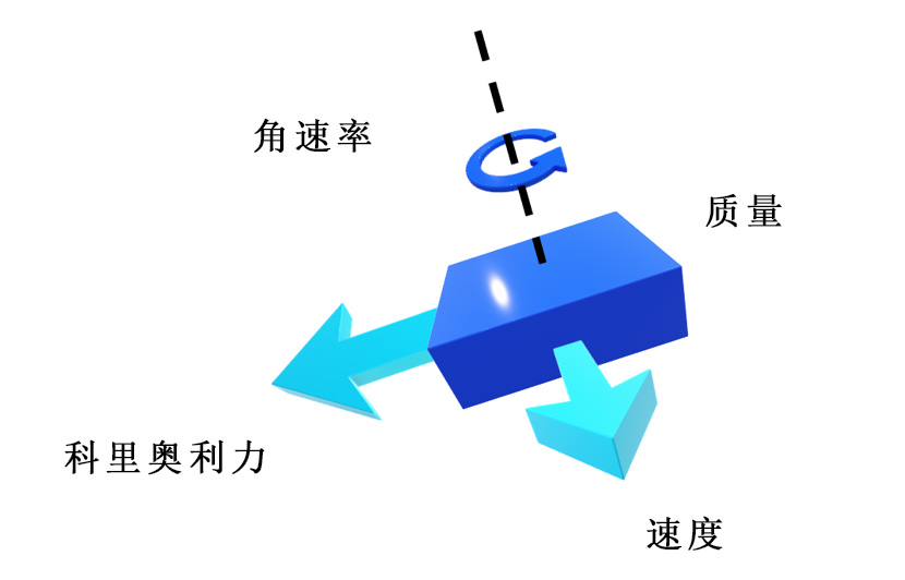 图6 科里奥利效应的运动向量