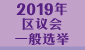 2019年区议会一般选举